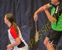 1BULLMINTON - 0437